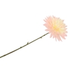 Silk Dahlia Pointy Champagne/light Pink 65cm