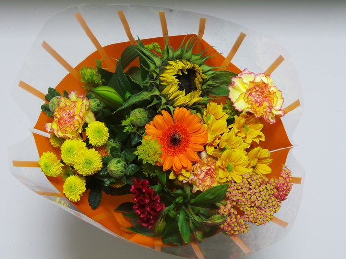 <h4>BQ 13 stems Orange</h4>