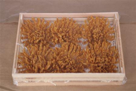 Wax Chrysant Oranje