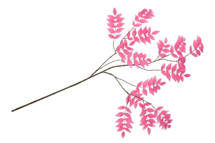 <h4>Silk Salix Leaf Beauty 135cm Nm</h4>