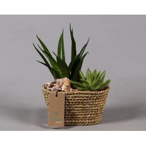 Mand zeegras ovaal Maritiem met Arrangement