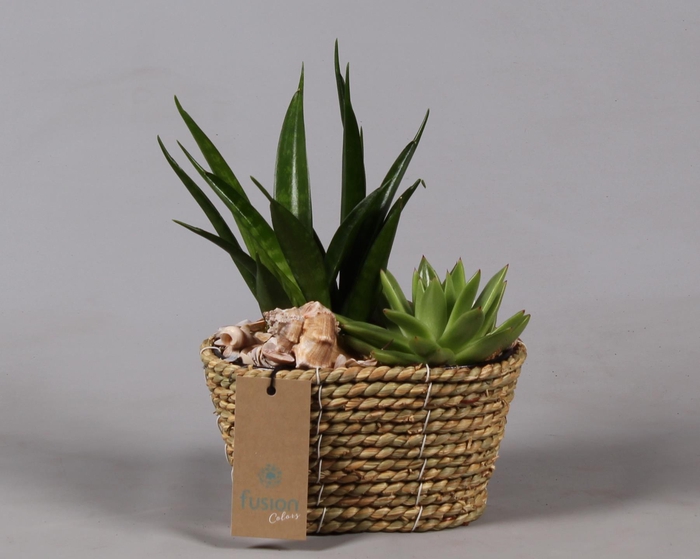 <h4>Mand zeegras ovaal Maritiem met Arrangement</h4>