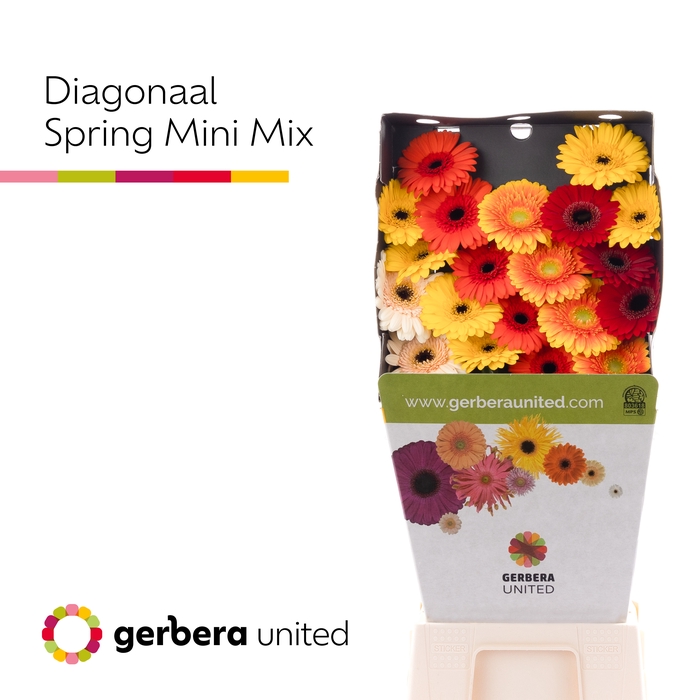 <h4>Germini mix Voorjaar Diamond</h4>
