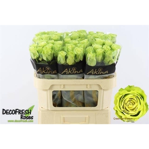 R GR GREEN GENERATIO