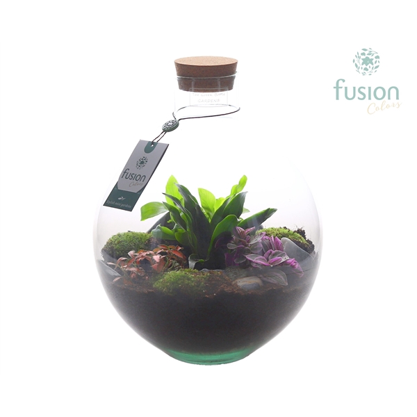 <h4>Terrarium Okaido Large met arrangement</h4>