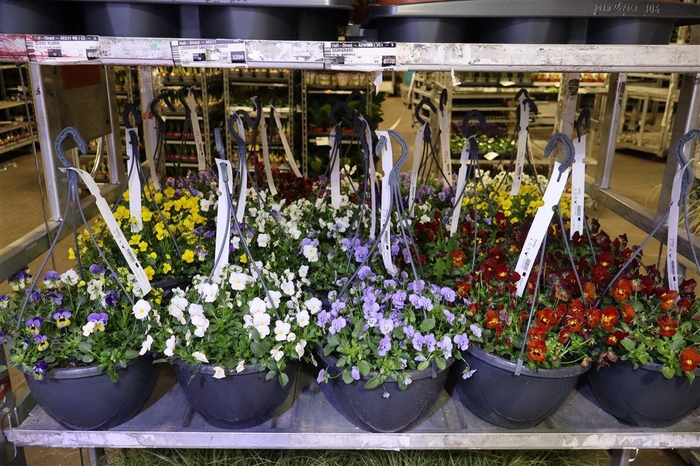 <h4>Vio Co End Mixk In Hangpot</h4>