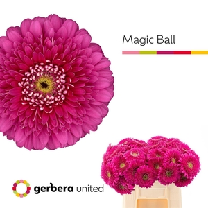 Ge Gb Magic Ball