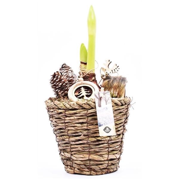 <h4>Maismand 15cm</h4>