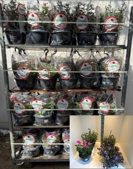 <h4>PERKPL MIXK</h4>