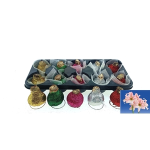 BLOEMBOL HIPPEASTRUM