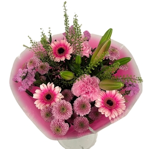 Bq Volume Voltage Pink M