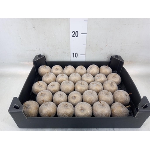 Decoratieve materialen   ...H%