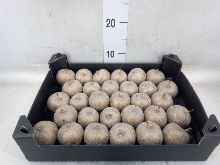 <h4>Decoratieve materialen   ...H%</h4>