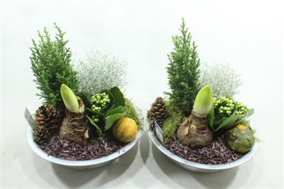 <h4>1080 ZINK HIPP BT</h4>