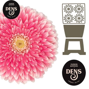Gerbera Pomponi Power Ball Diamond