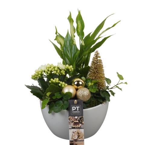 <h4>PTCHG5623 Arrangementen Kerst</h4>