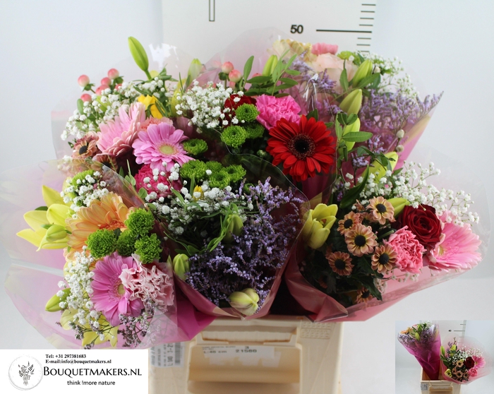 <h4>GEM BOEKET OV</h4>