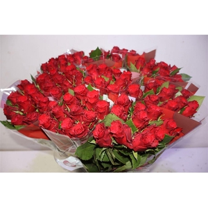 R Gr Red Torch X10
