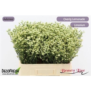 Lim Sin Sen Lemonade