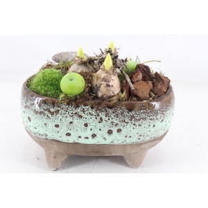 arr4 Hyacint MB - Ker. luxe ovaal pootjes x4