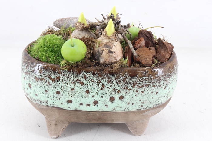 <h4>arr4 Hyacint MB - Ker. luxe ovaal pootjes x4</h4>