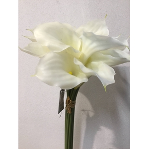 SILK FLOWERS - CALLA BUNDLE X12 CREAM 45CM