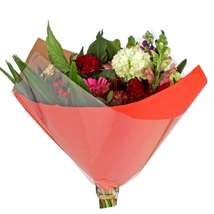 Hoes 35x35cm Oblique OPP35/80gr bruin kraft rood 250/doos