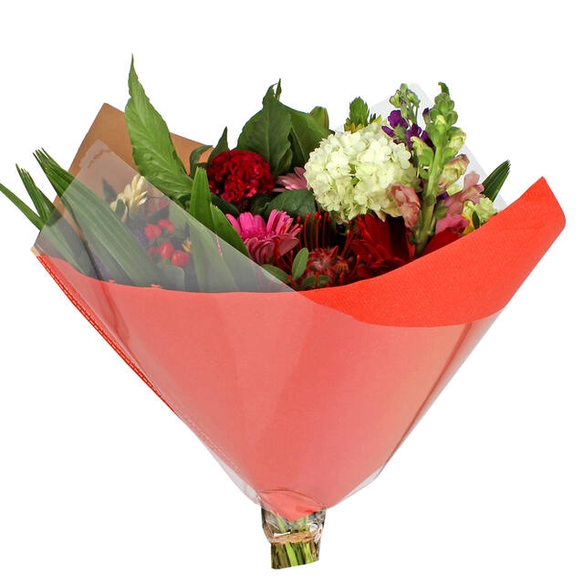 <h4>Hoes 35x35cm Oblique OPP35/80gr bruin kraft rood 250/doos</h4>