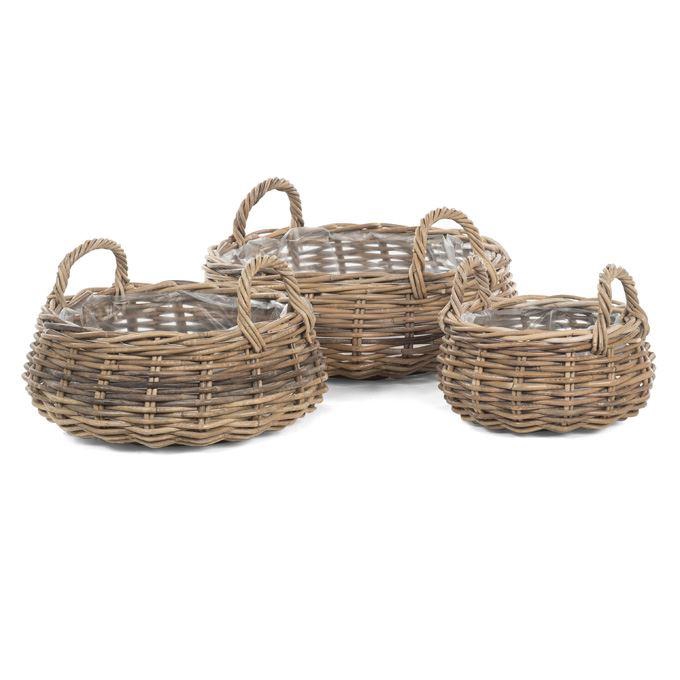 <h4>Mand   ...H%</h4>