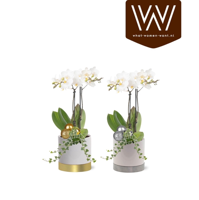 <h4>Kerst Arrangement Collectie "Top Blend" keramiek Emma</h4>