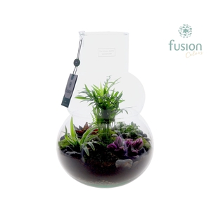 Green Bottle Olaf Large met arrangement