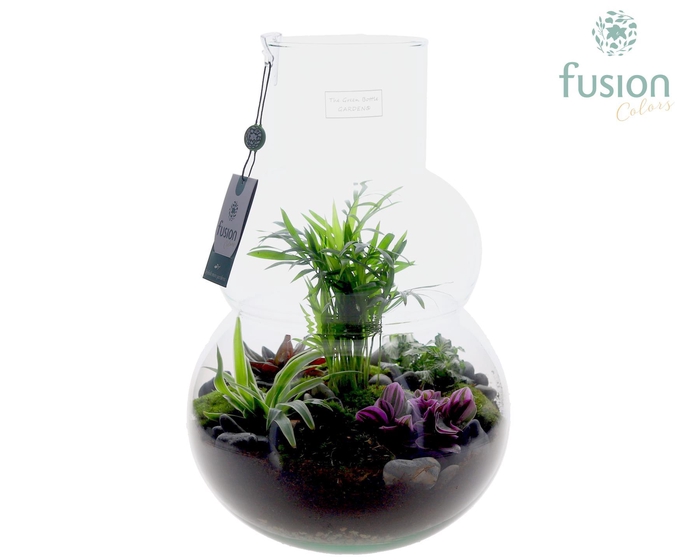 <h4>Green Bottle Olaf Large met arrangement</h4>