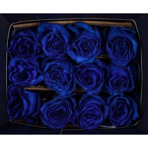R GR MONDIAL BLUE TINTED EQ