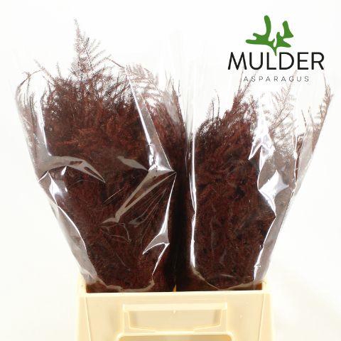 <h4>ASP OV KLB H%</h4>