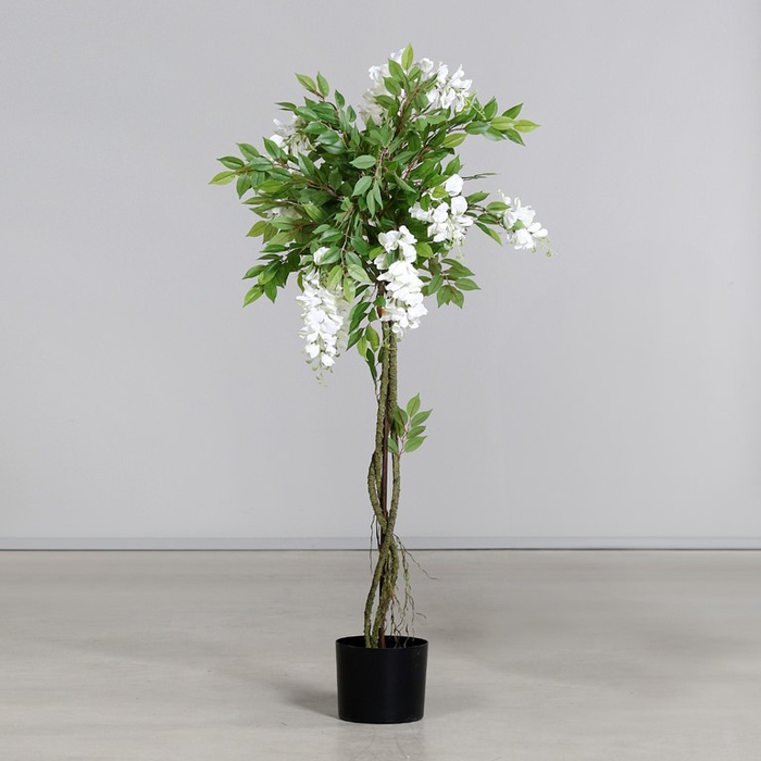 <h4>Wisteria tree in pot 120cm white</h4>