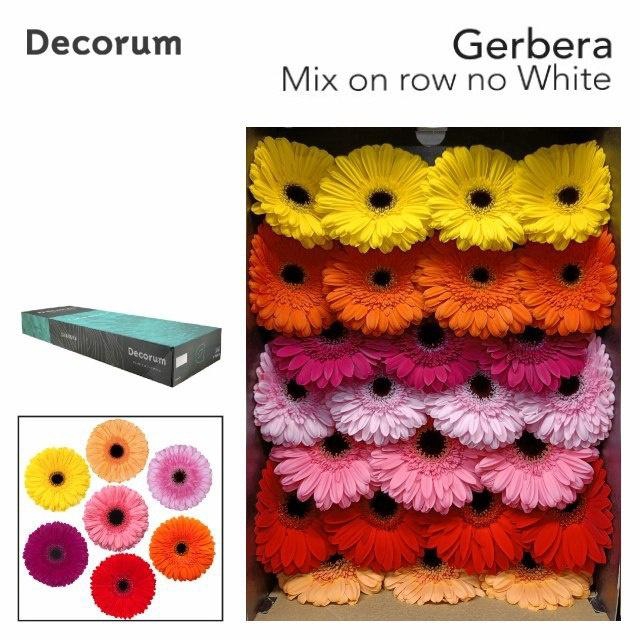 <h4>GE GR OP RIJ GEM</h4>