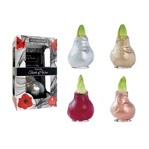 Amaryllis Red Mix Gloss II Carton