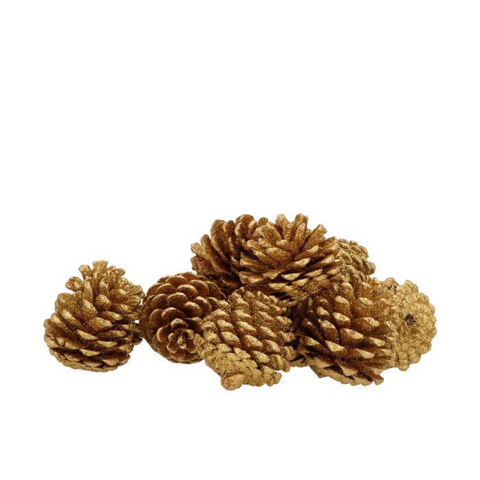 <h4>Nature Pinecone Gold Glitter Ass P/12</h4>