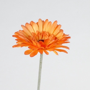 Af Gerbera L58cm Orange