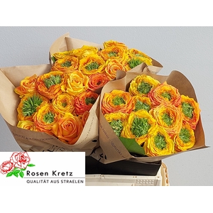 R GR GR ISLAND SAMOA