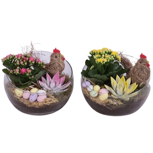 Easter Arr. Indoor Glass Bowl Vase Ø20cm 2PP