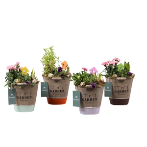 Zinken emmer ovaal 4 kleuren met arrangement