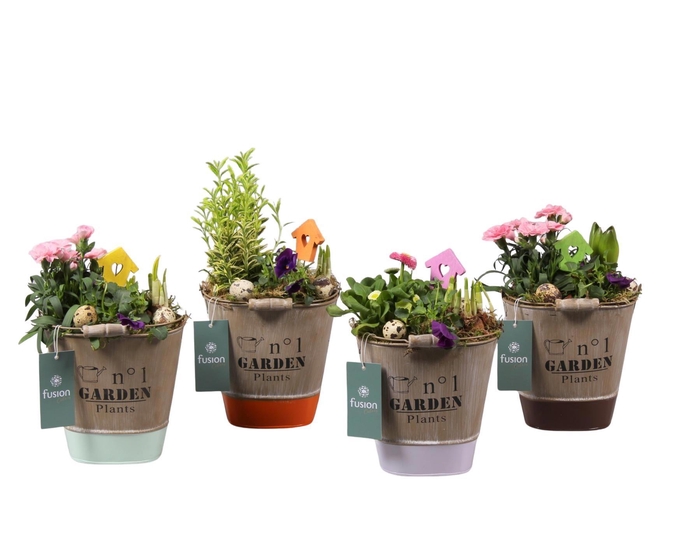 <h4>Zinken emmer ovaal 4 kleuren met arrangement</h4>