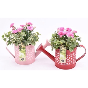 Zink gieter hart decor 24x10cm