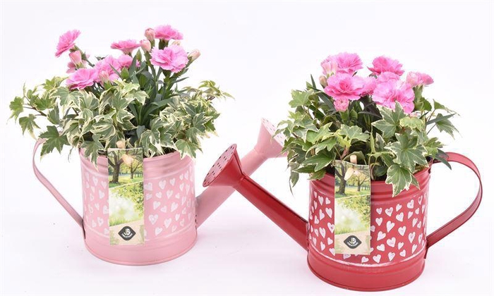 <h4>Zink gieter hart decor 24x10cm</h4>