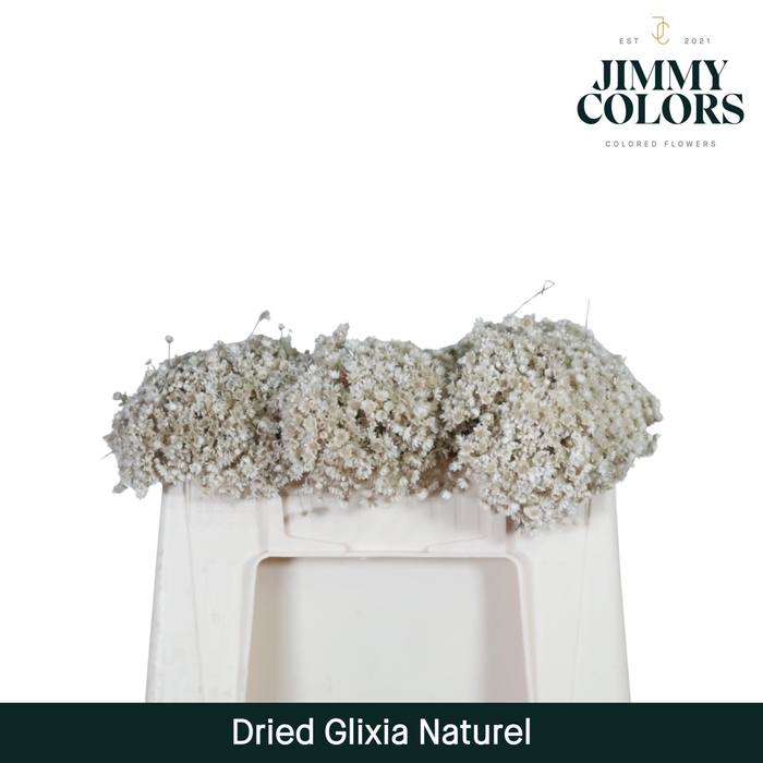 <h4>Dried Glixia Naturel</h4>