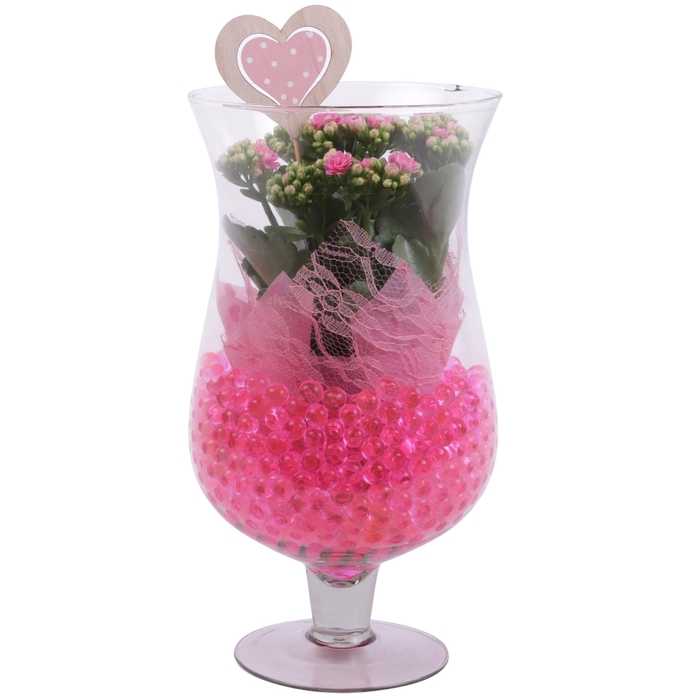 <h4>Mothersday Arr. Indoor Glass Cognac Ø17cm 1PP</h4>