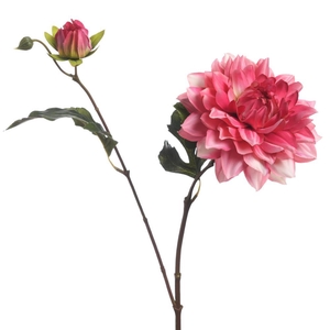 AF Dahlia x2 L63cm Pink