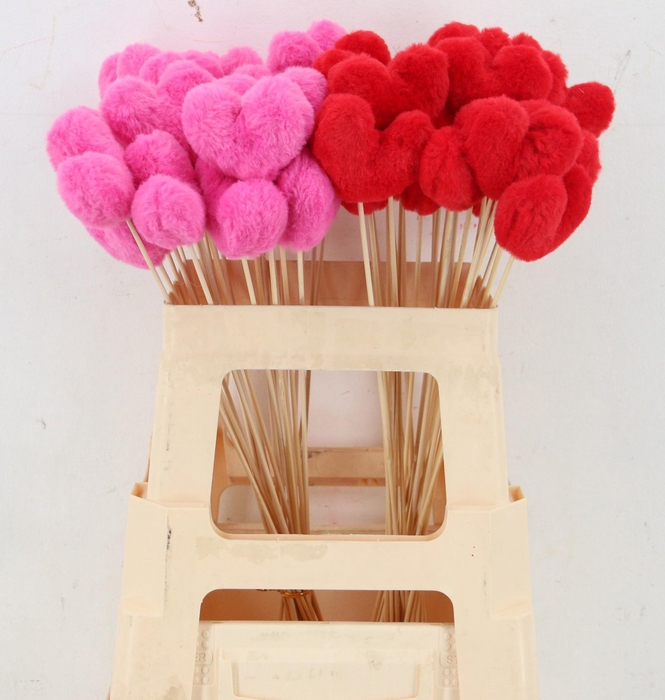 <h4>HUIS EN TUINDECO H%</h4>