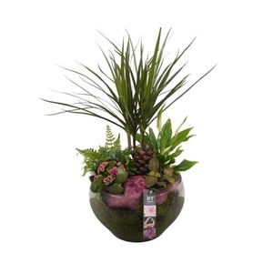 PTHG3408 Arrangement Autumn Glass in glas schaal